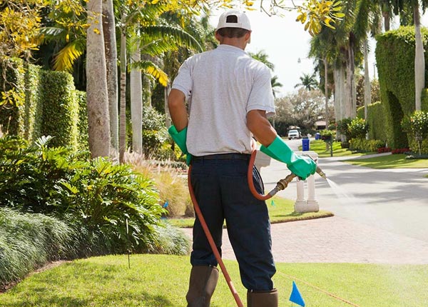 About Falmouth KY Pest Control